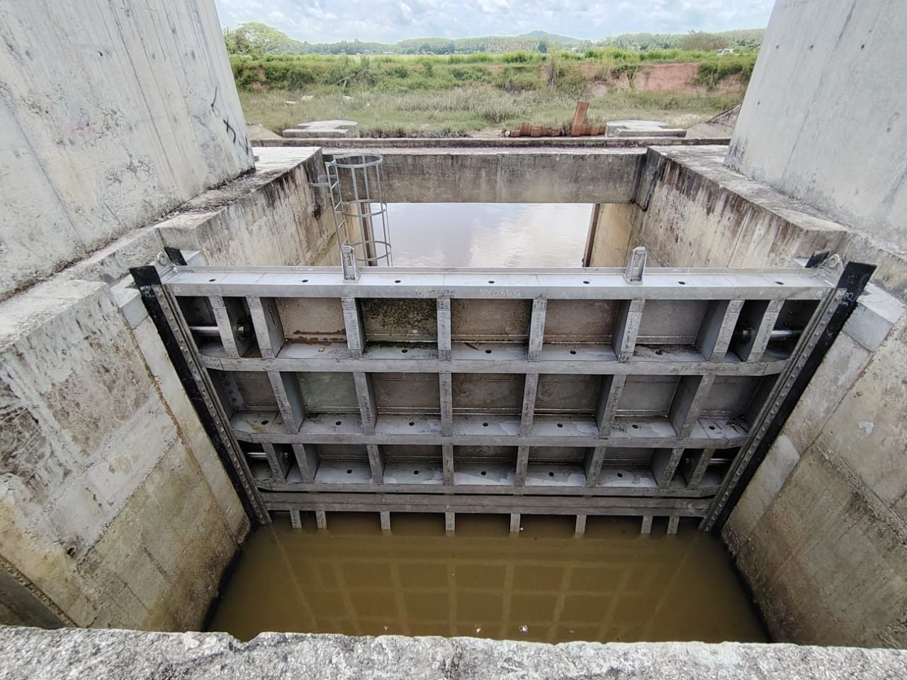 Project1_Pendang_Pic4